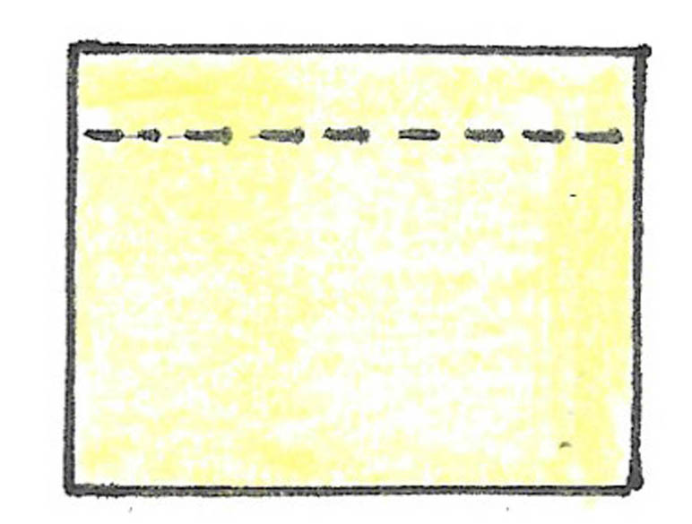 Diagram 7