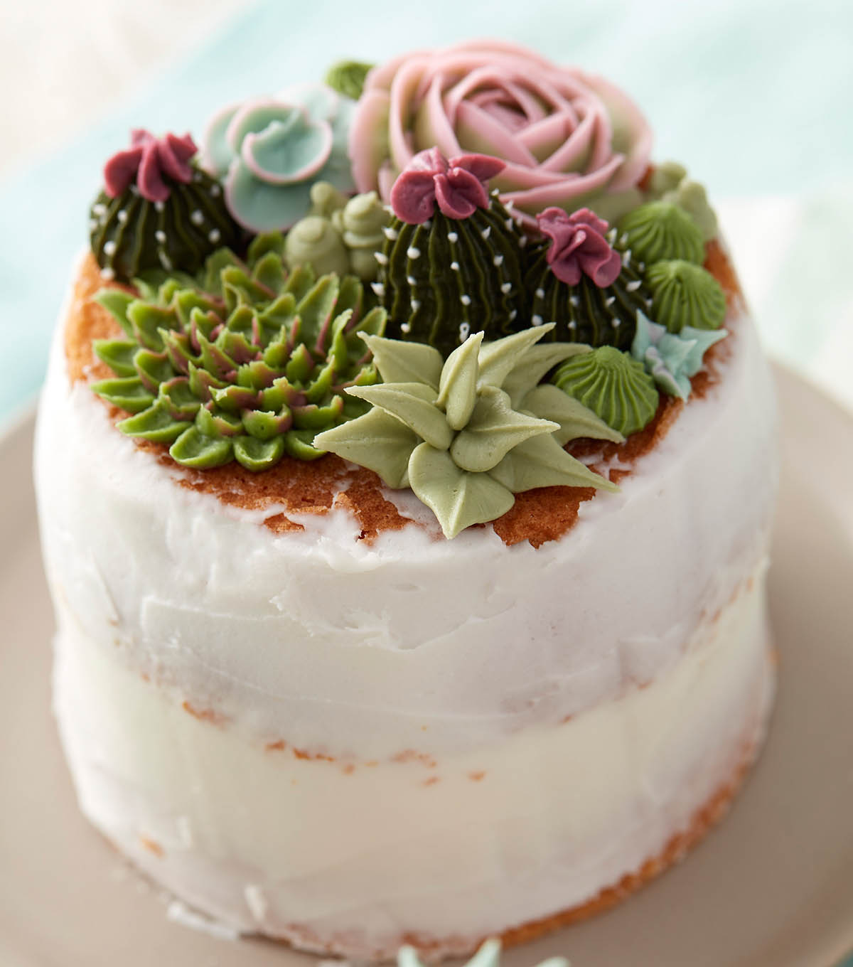 Cake Icing Supplies Cake Icing Supplies