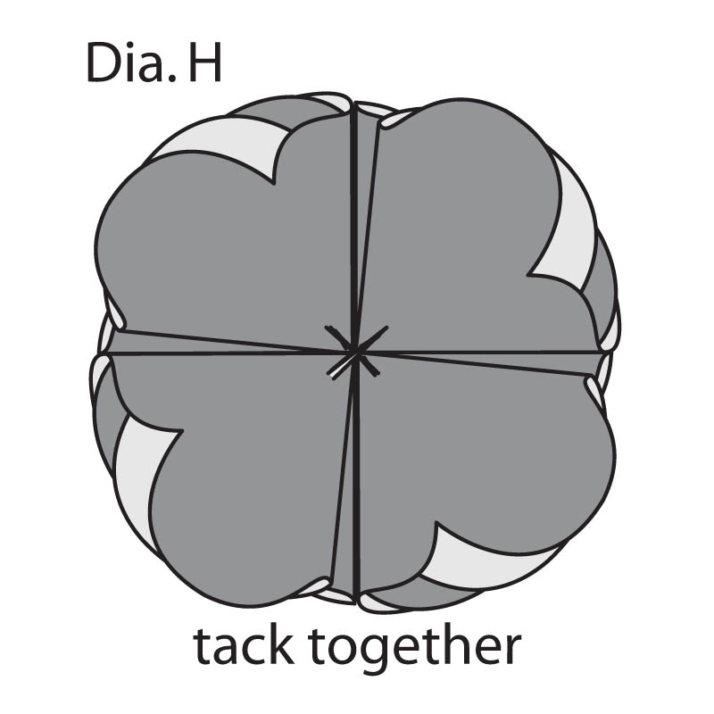 Dia. H