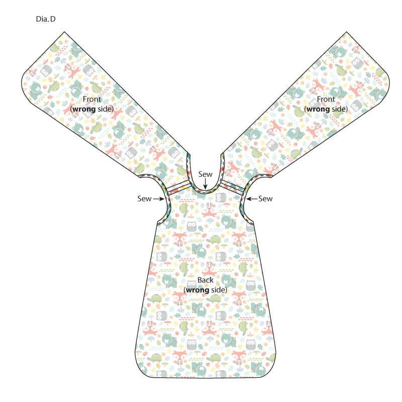 Diagram D