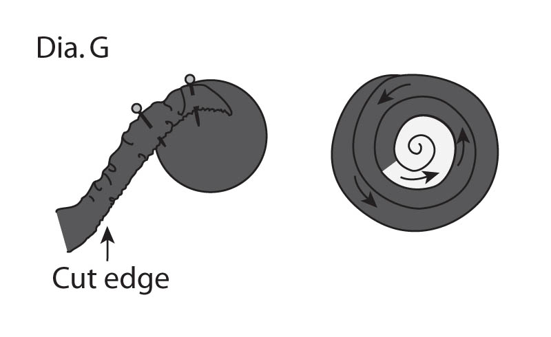 Diagram g