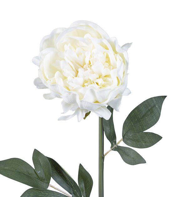 24.5" White Peony Stem by Bloom Room, , hi-res, image 2