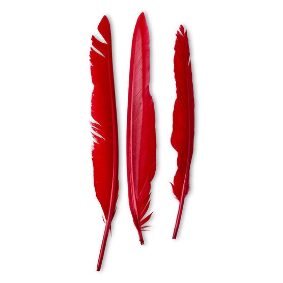 Red on Red Feathers