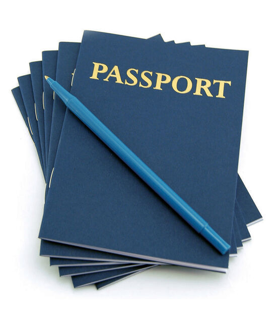 Hygloss 24pk Blank Passport Books