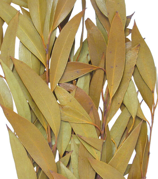 19" Camel Amber Dried Foliage Bouquet by Bloom Room, , hi-res, image 2