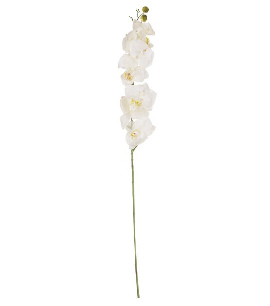 35" White Phalaenopsis Stem by Bloom Room