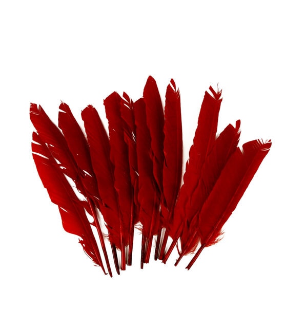 POP! Red Feathers 12pc, , hi-res, image 2