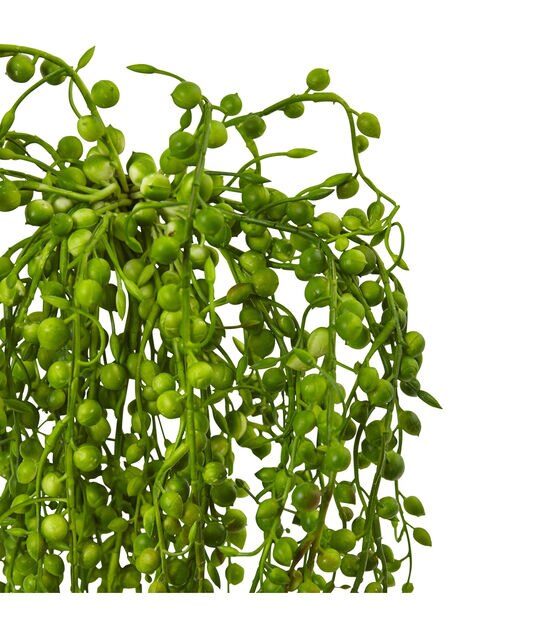 Nearly Natural Senecio Artificial Succulent Plant, , hi-res, image 3