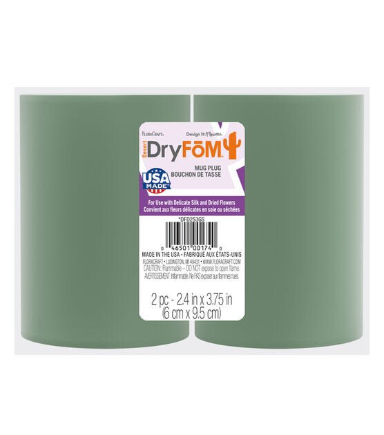 FloraCraft 4" Green Floral Desert DryFoM Mug Plug 2ct
