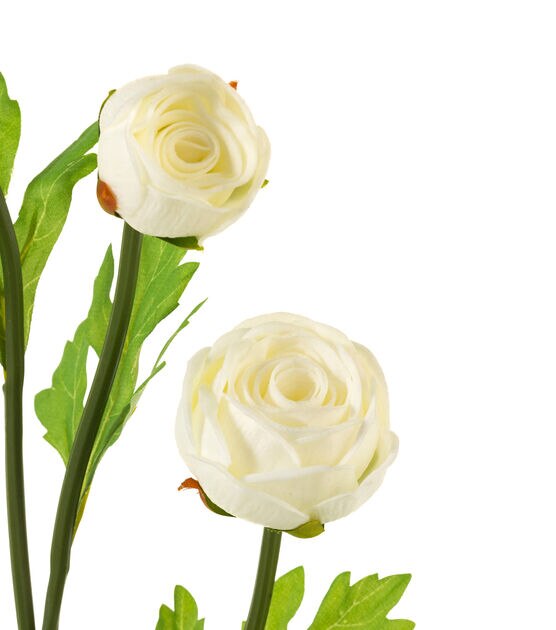 23" White Ranunculus Stem by Bloom Room, , hi-res, image 2