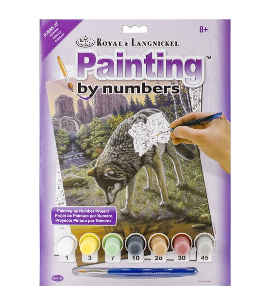 Royal Langnickel Reflections Junior Small Paint By Number Kit