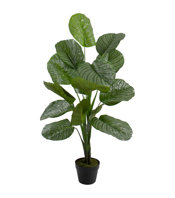 Northlight 4' Potted Two Tone Green Calathea Artificial Floor Plant, , hi-res, image 1