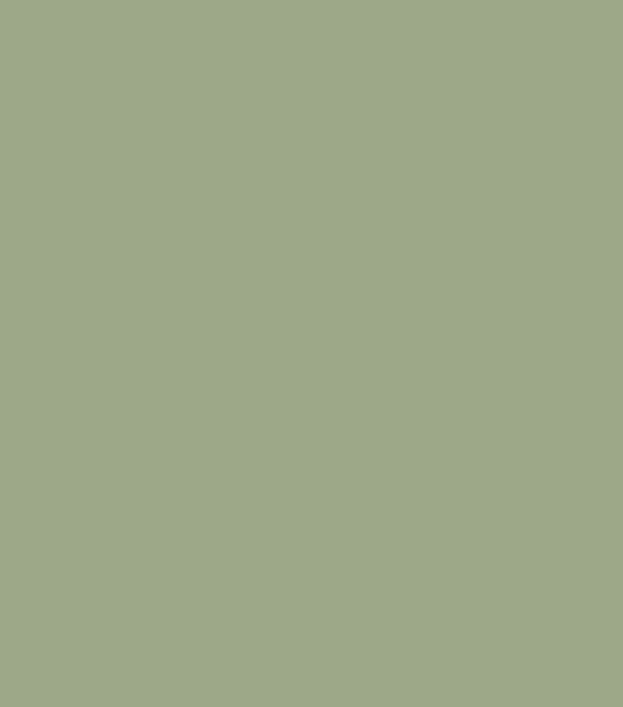 DecoArt Americana Decor Satin Enamels 8oz, Moss Green, swatch