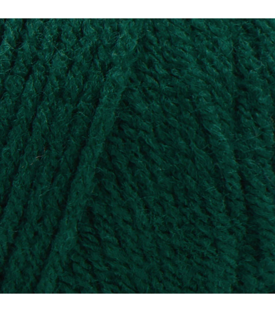 Red Heart Super Saver Worsted Acrylic Yarn, Hunter Green, swatch, image 26