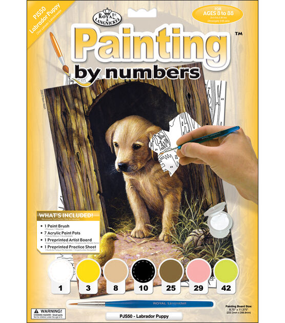 Royal Langnickel Junior Paint By Number Kit Labrador Puppy