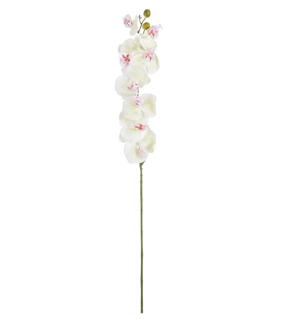 36" White & Pink Phalaenopsis Stem by Bloom Room