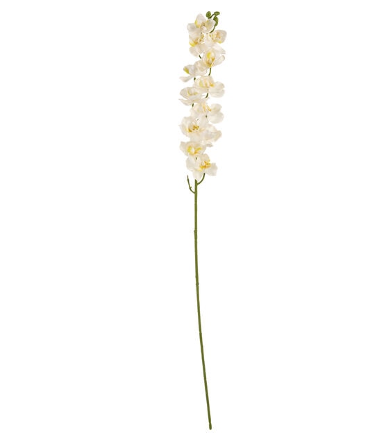 28.5" White Orchid Stem by Bloom Room