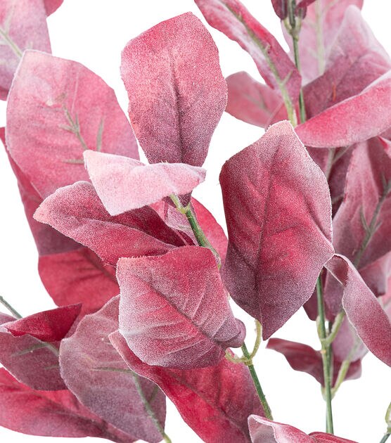 17" Burgundy Lamb's Ear Leaf Bush by Bloom Room, , hi-res, image 2