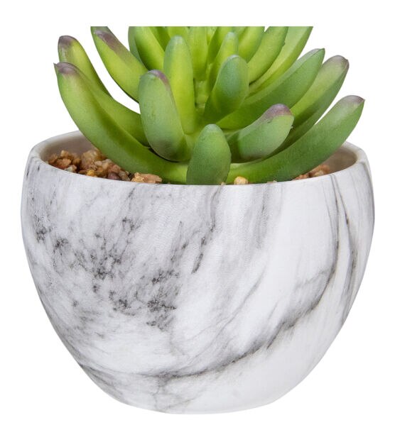 Northlight 4.25" Green Artificial Succulent in Faux Marble Pot, , hi-res, image 4