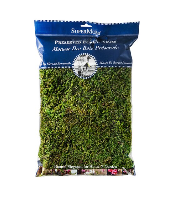 Super Moss Mood Moss Preserved Natural Green 1200cuin, Fresh Green, 200 in3  Bag (Appx. 8oz) (21539) (Pack of 2)