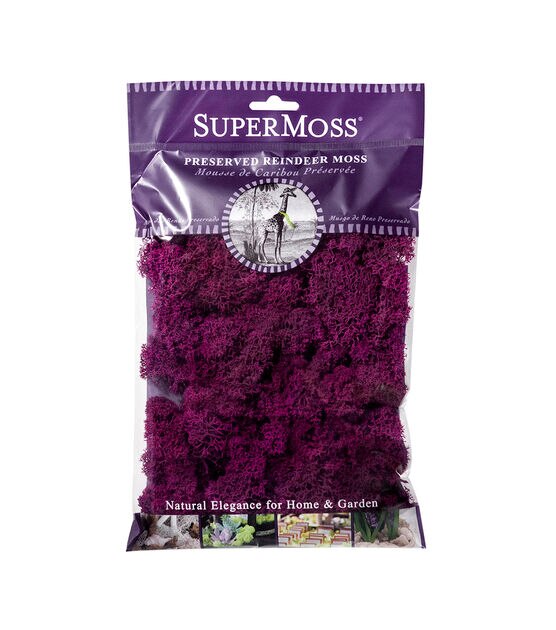 SuperMoss 2oz Fuschia Reindeer Moss