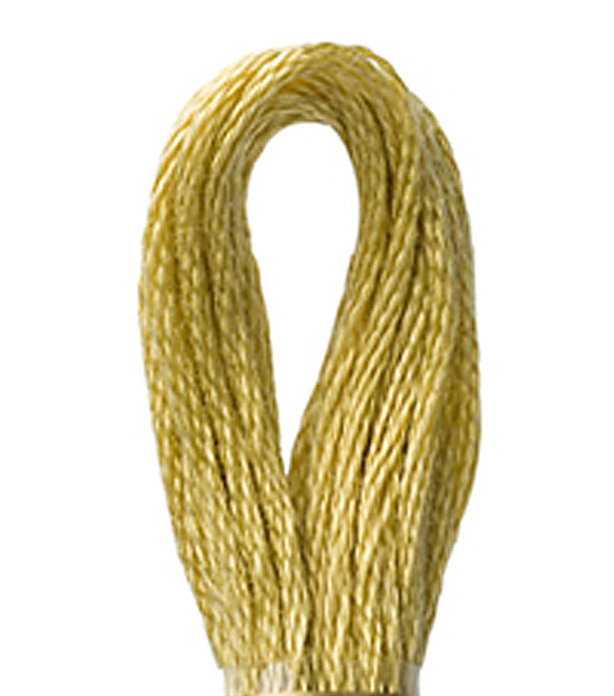 DMC 8.7yd Greens 6 Strand Cotton Embroidery Floss, 834 Light Golden Olive, swatch, image 6