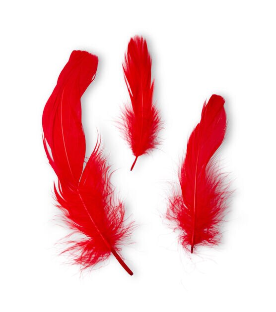 Red on Red Feathers