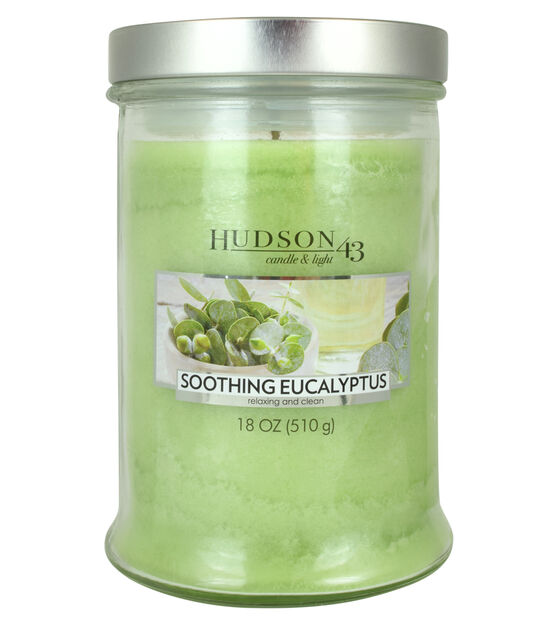 18oz Soothing Eucalyptus Scented Jar Candle by Hudson 43