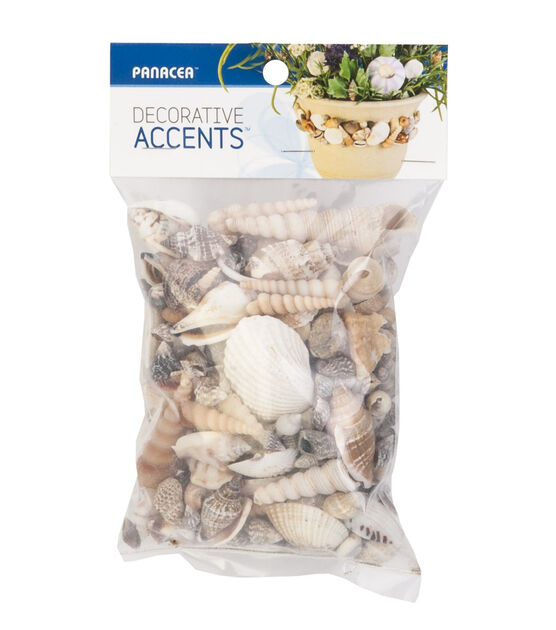 Panacea 12oz Assorted Sea Shells