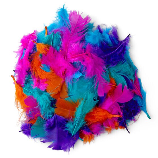 Pop! Turkey Plumage Carnival Mix Feathers 0.5oz - Kids Craft Basics - Kids