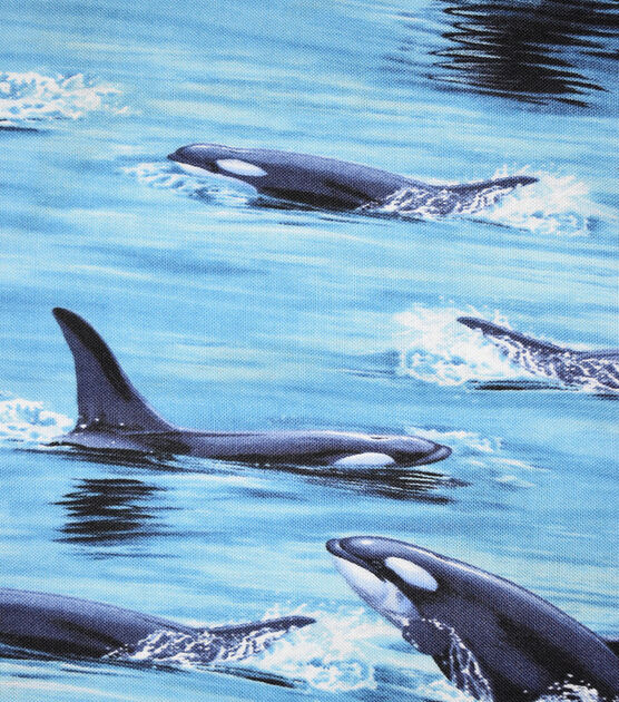 Killer Whale In Motion Novelty Cotton Fabric, , hi-res, image 1