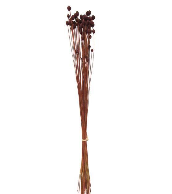 24" Pimentinha Chilli Dried Bouquet by Bloom Room