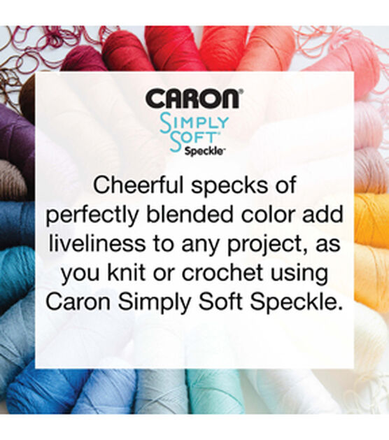 Caron Simply Soft Speckle 235yds Worsted Acrylic Yarn, , hi-res, image 9