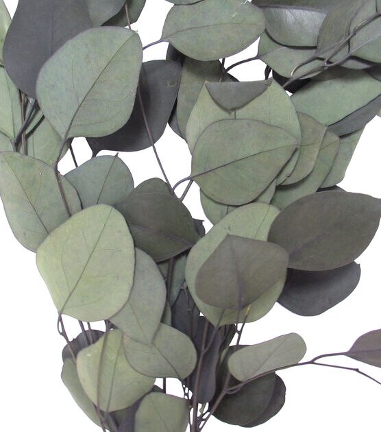 17" Dried Eucalyptus Populus Bouquet by Bloom Room, , hi-res, image 2