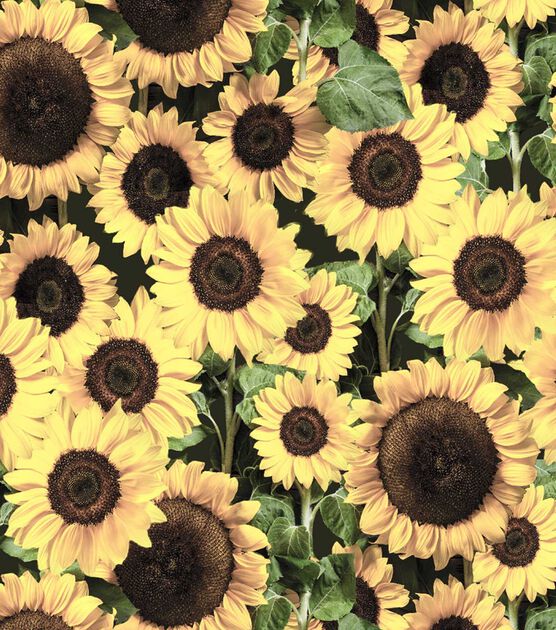 Packed Sunflowers Harvest Cotton Fabric