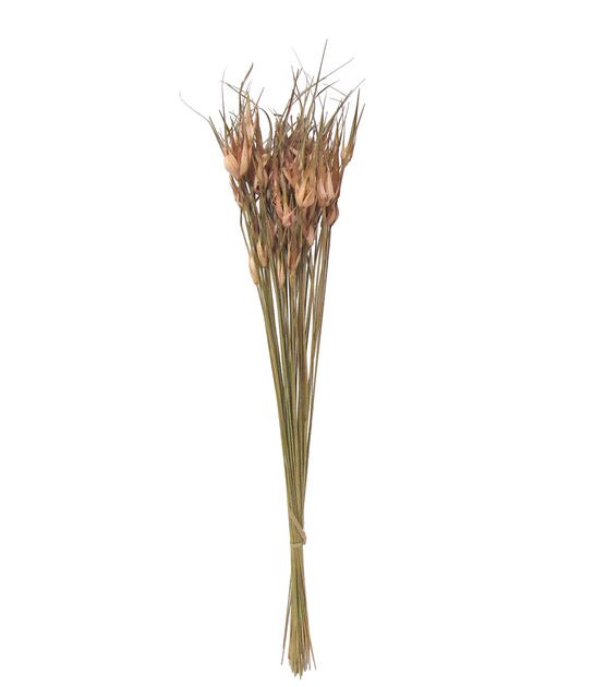 28" Mauve Dried Star Grass Bouquet by Bloom Room