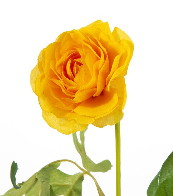 16" Yellow Ranunculus Stem by Bloom Room, , hi-res, image 2