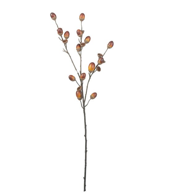 27.5'' Acorn Branch by Bloom Room