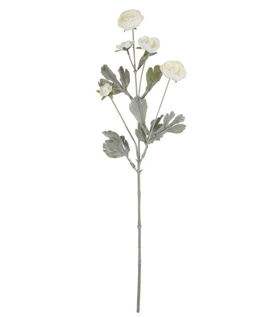 27" Cream Ranunculus Stem by Bloom Room