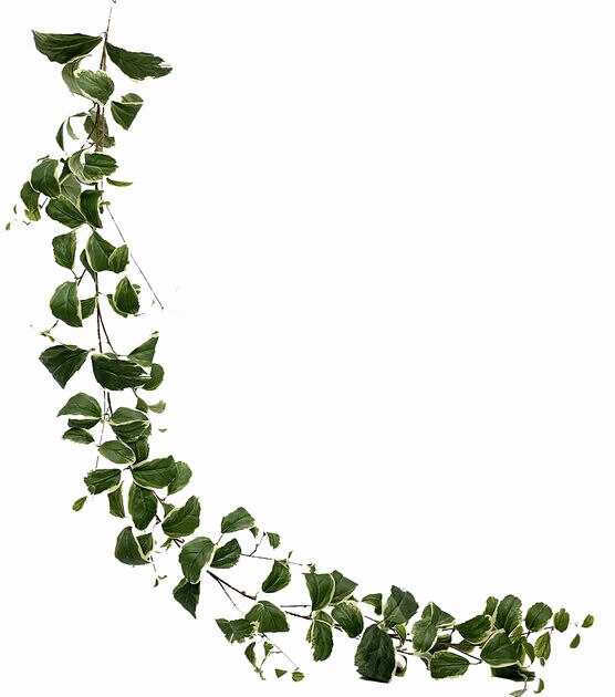 65" Green Dieffenbachia Leaf Garland by Bloom Room