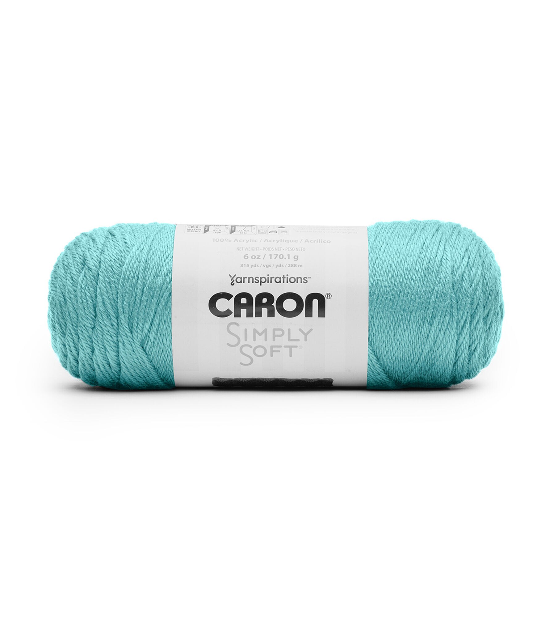 Caron Simply Soft 315yds Worsted Acrylic Yarn, Robins Egg, hi-res