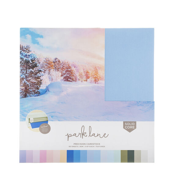 60 Sheet 12" x 12" Winter Precision Cardstock Paper Pack by Park Lane