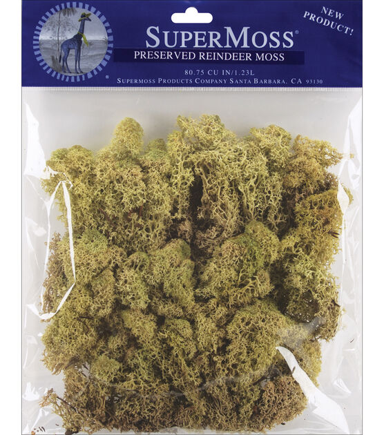 Green Reindeer Moss Bagged 2.0 Oz – The Painted Nest & Co