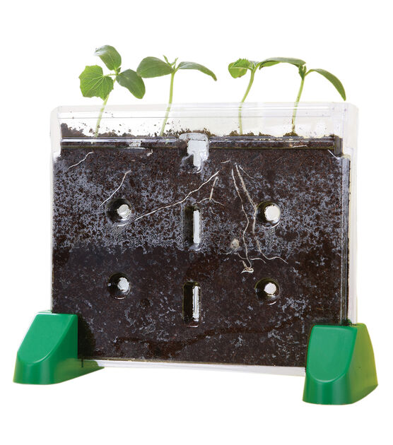 Educational Insights Sprout & Grow Window Plant Growing Kit, , hi-res, image 2