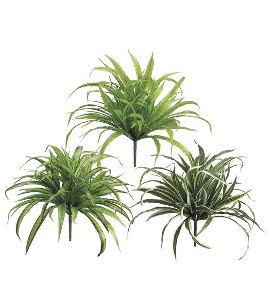 Dracena Plant Bush 15In