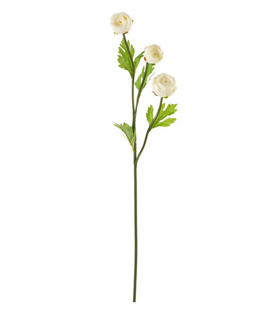 23" White Ranunculus Stem by Bloom Room