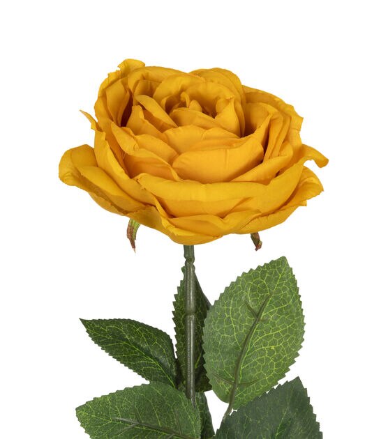 29" Mustard Cabbage Rose Stem by Bloom Room, , hi-res, image 2