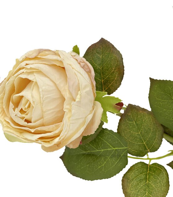 28.5" Fall Cream Rose Stem by Bloom Room, , hi-res, image 2