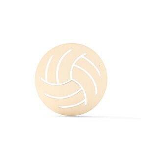 Authorized Retailer of Picture Frame Faux Leather Volleyball 