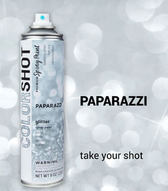 Colorshot Premium Glitter Paparazzi Spray Paint - Silver Glitter Gloss - 8 oz